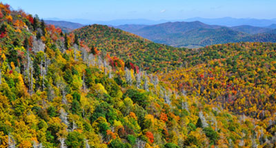 Blue Ridge Parkway Fall Sightseeing